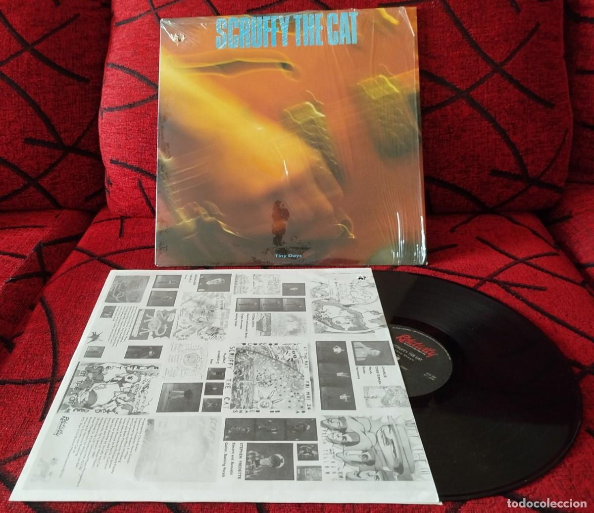 Discos de vinilo: SCRUFFY THE CAT ** Tiny Days ** VINILO LP 1987 USA - Foto 1