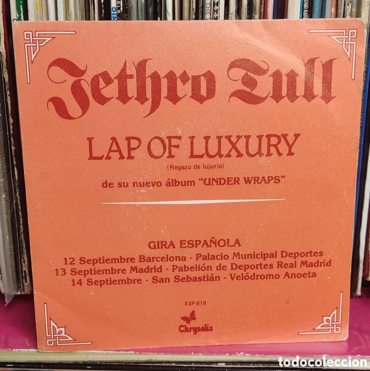 Discos de vinilo: Jethro Tull&nbsp;&lrm;&ndash;&nbsp;Lap Of Luxury - Foto 1