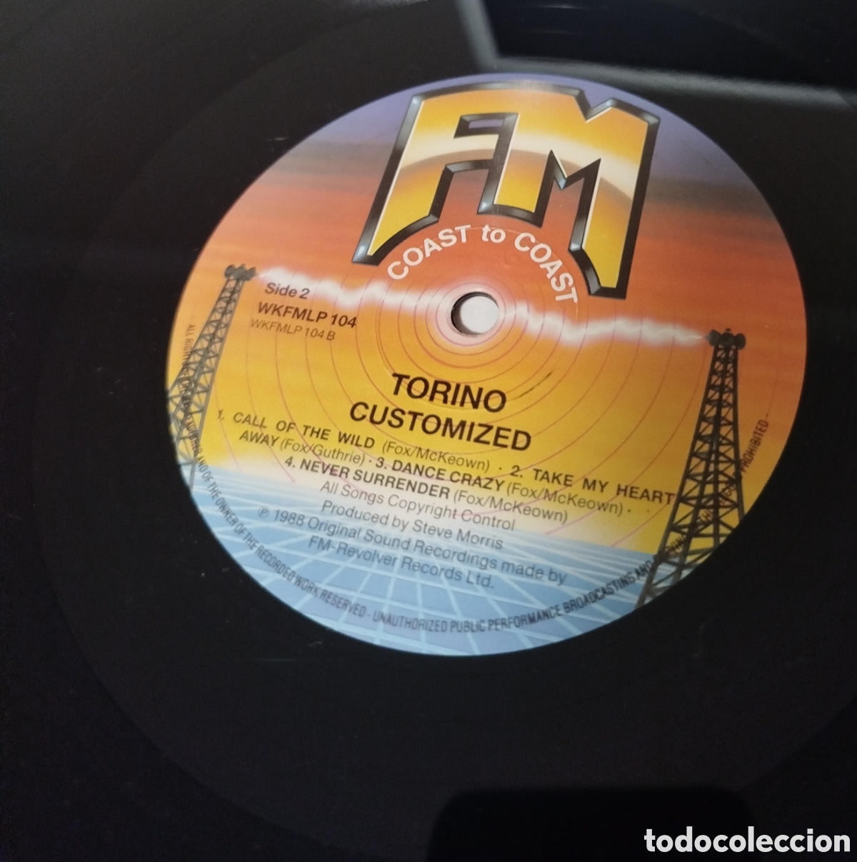 Discos de vinilo: Torino - Customized . FM - Foto 3