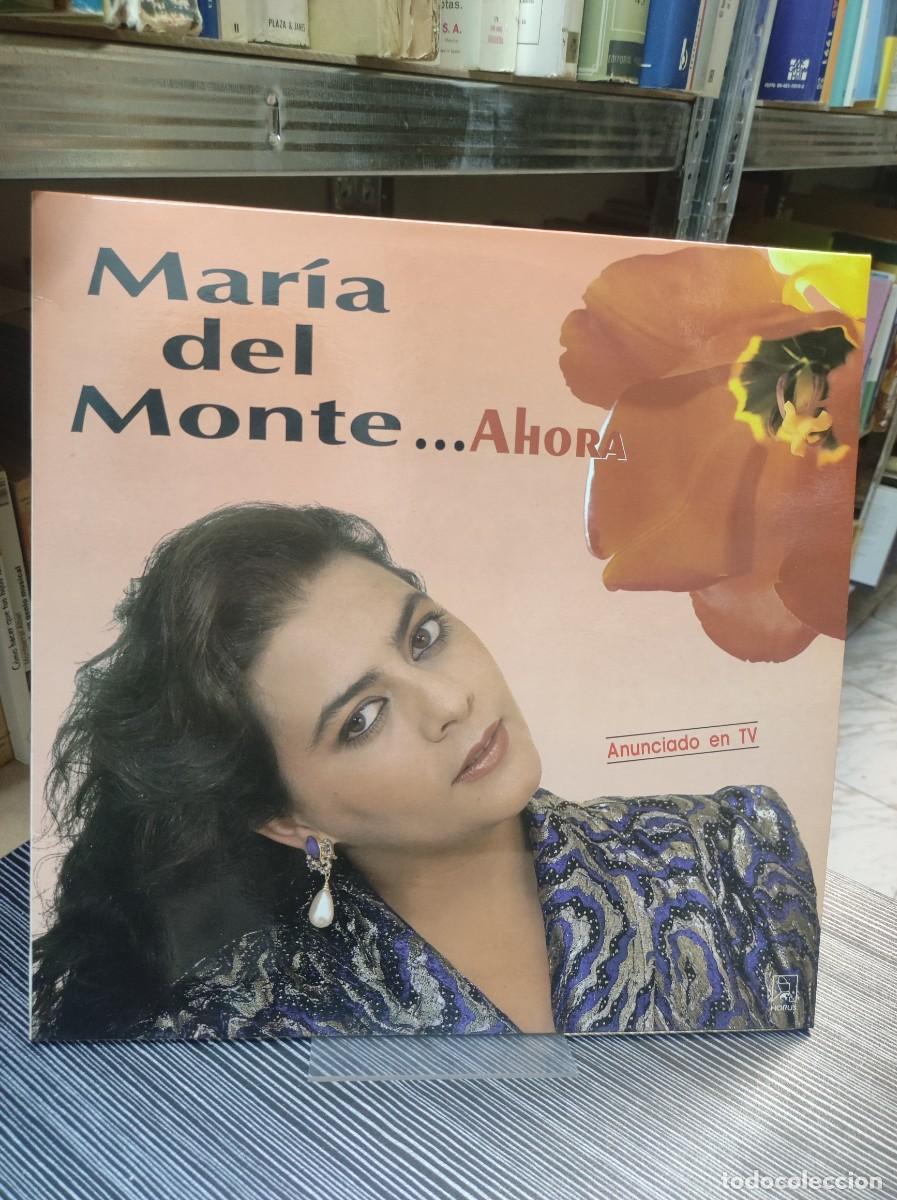 Discos de vinilo: Mar&iacute;a Del Monte &ndash; Ahora - Foto 1