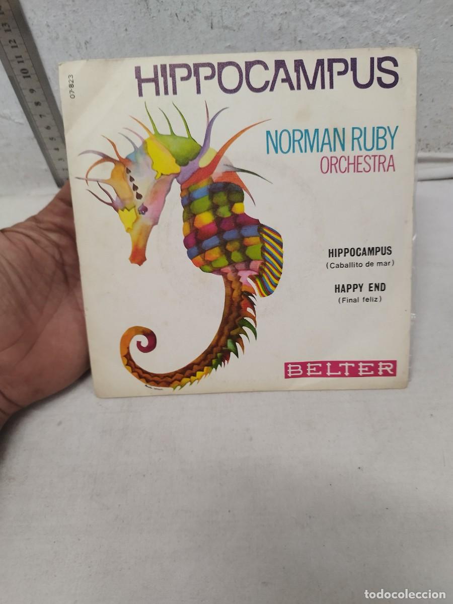 Discos de vinilo: Norman Ruby Orchestra &ndash; Hippocampus / Happy End. Single vinilo 7&rdquo;. - Foto 1