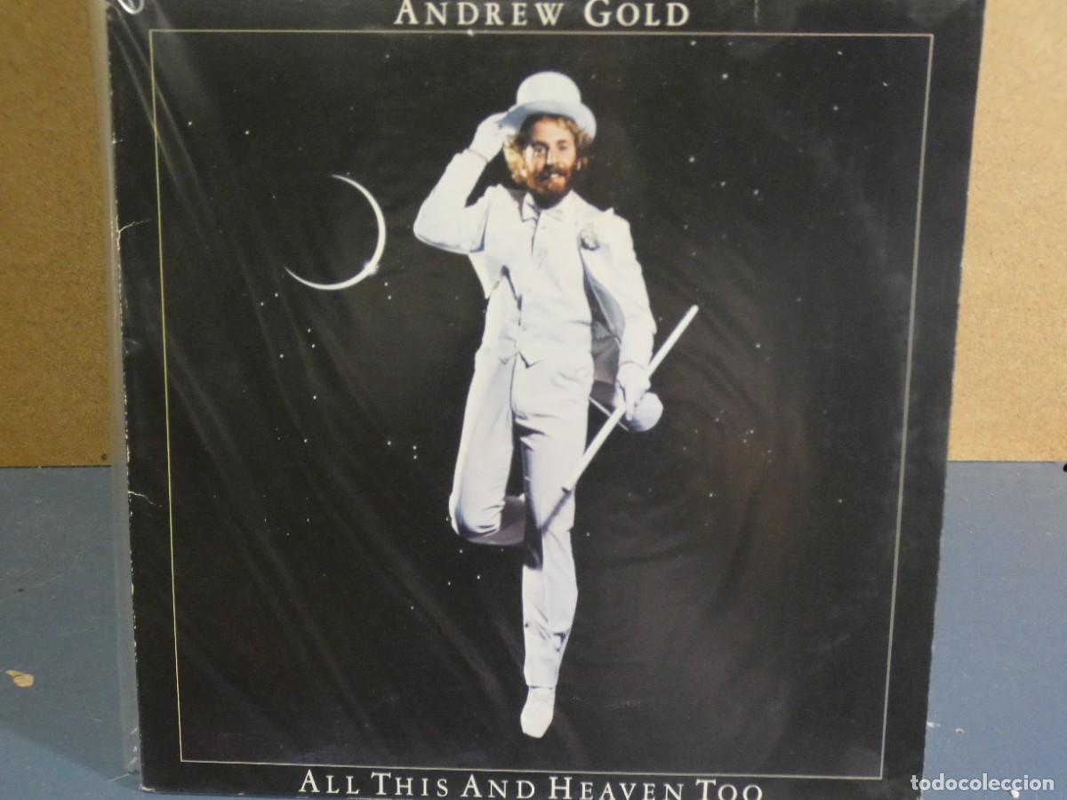 Vinyl records: ARKANSAS1980 LOTT418 VINILO ESTADO CORRECTISIMO - ANDREW GOLD