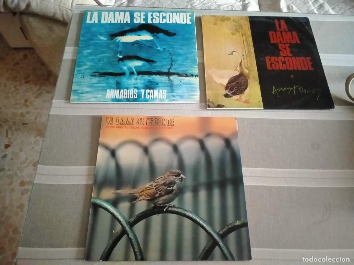 Discos de vinilo: vinilos lp la dama se esconde - Foto 1