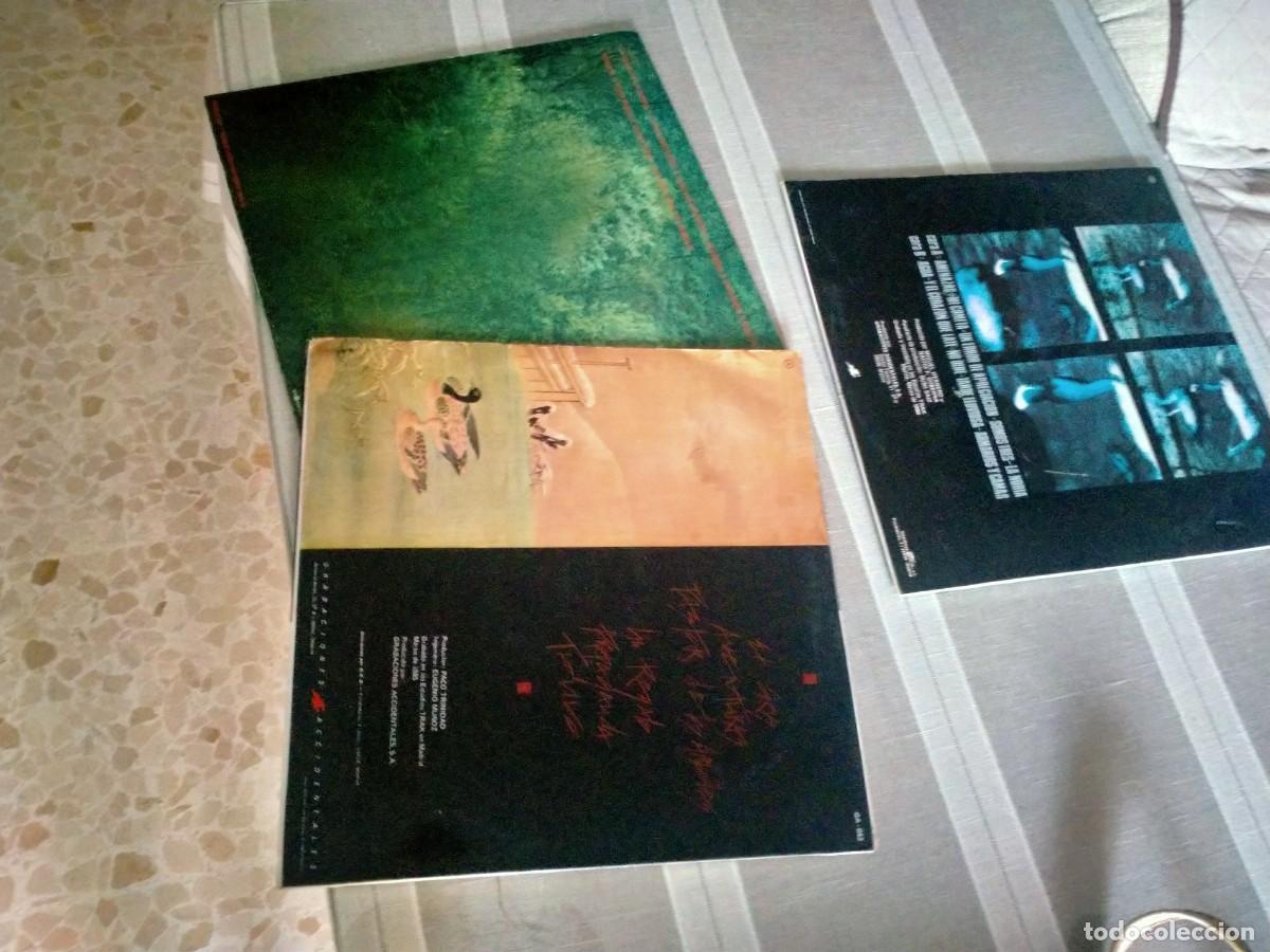 Discos de vinilo: vinilos lp la dama se esconde - Foto 2