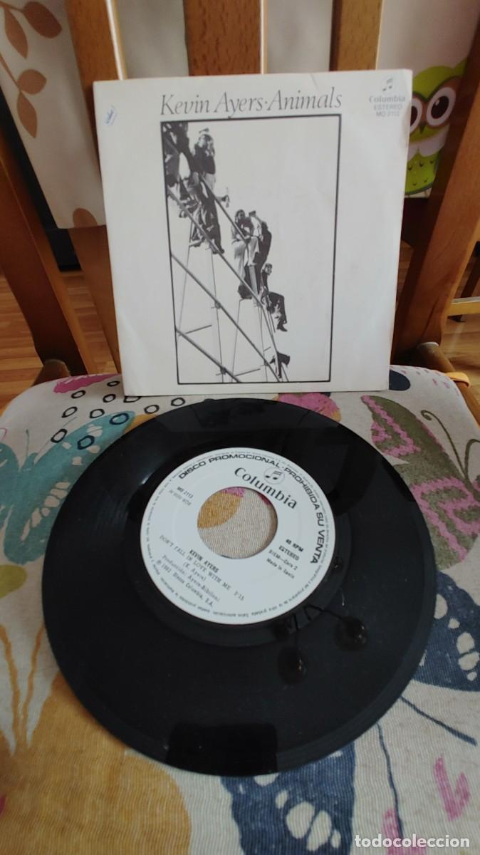 Discos de vinilo: KEVIN AYERS-SINGLE ANIMALS - Foto 1