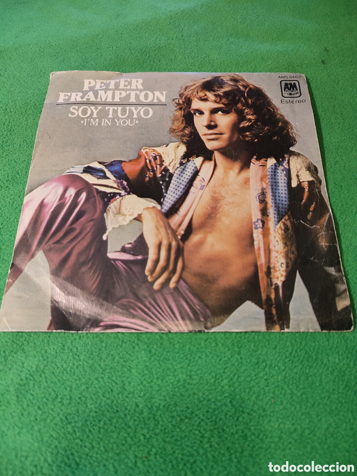 Discos de vinilo: Peter Frampton - Soy tuyo ( Im in you) - Foto 1