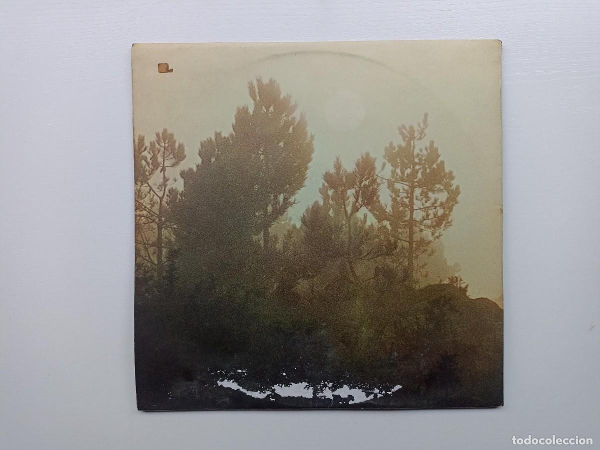 Discos de vinilo: Oscuridad, Junior, disco (vinilo,LP) - Foto 3