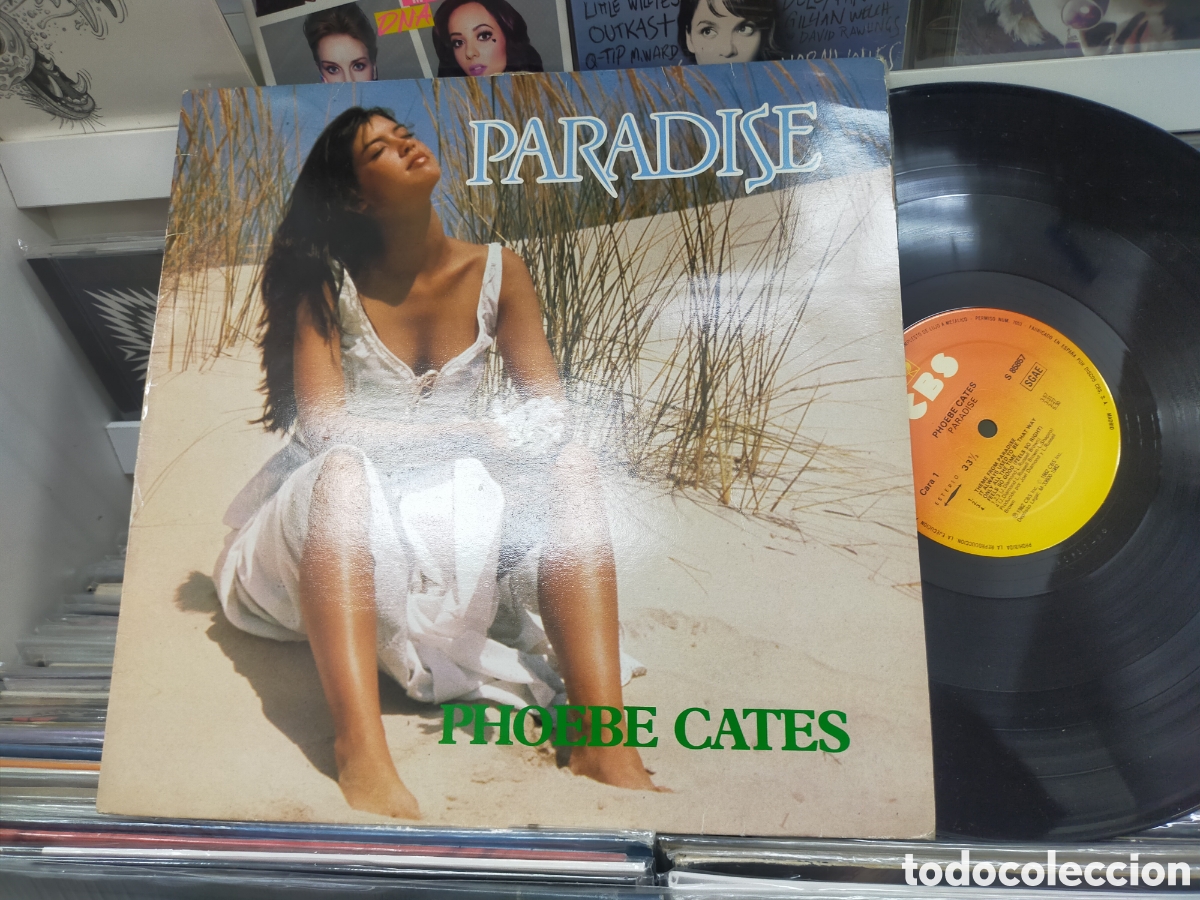 Discos de vinilo: Phoebe cates lp paradise Espa&ntilde;a 1982 - Foto 1