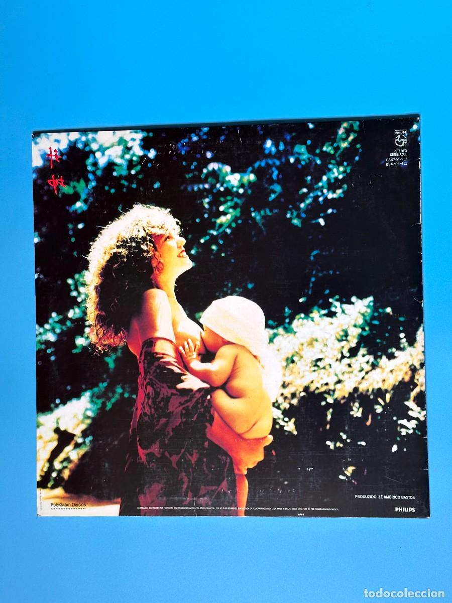 Discos de vinilo: Elba Ramalho - Fruto (LP) - Foto 3
