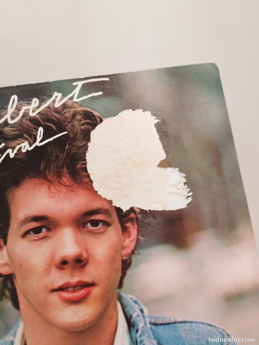 Discos de vinilo: Steve Forbert &ndash; Alive On Arrival. Vinilo Lp. - Foto 2