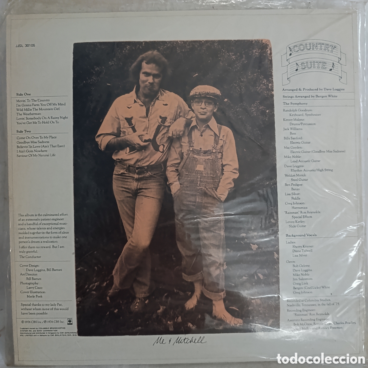 Discos de vinilo: ROCK COUNTRY, DAVE LOGGINS,VINILO - Foto 2
