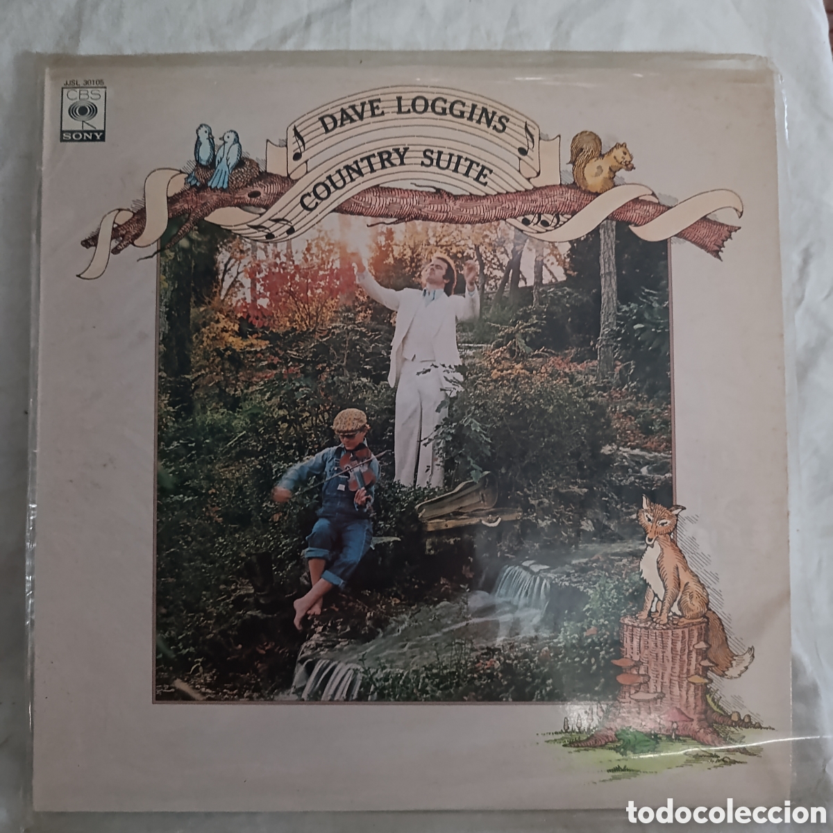 Discos de vinilo: ROCK COUNTRY, DAVE LOGGINS,VINILO - Foto 1
