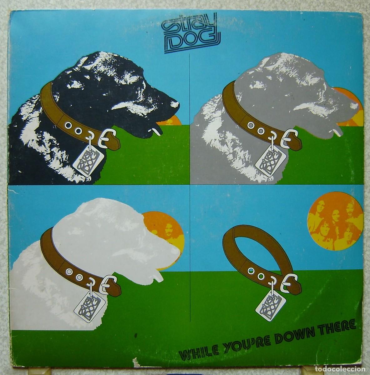 Discos de vinilo: STRAY DOG.WHILE YOU&acute;RE THERE...PROGRESIVO ROCK...ED SPAIN...EX