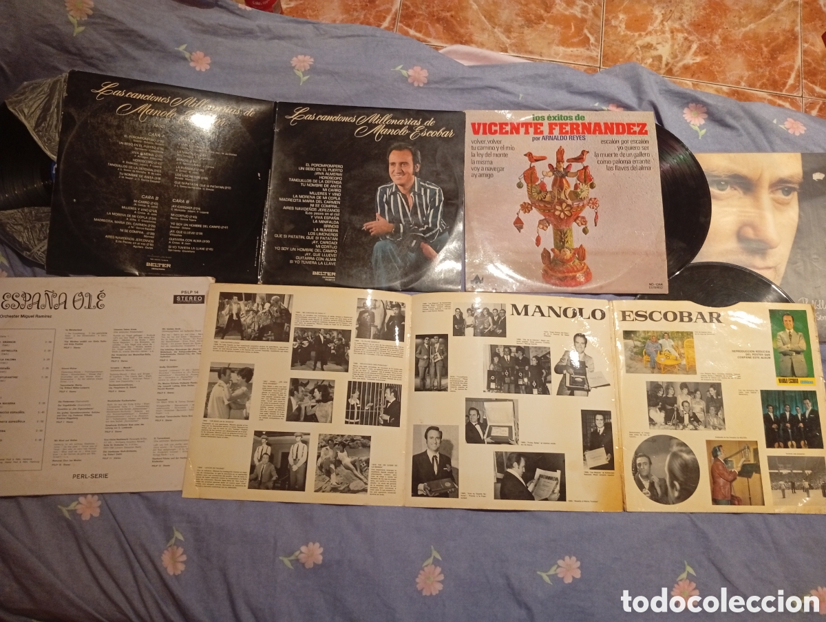 Discos de vinilo: Vinilos y DVD clasicos - Foto 8