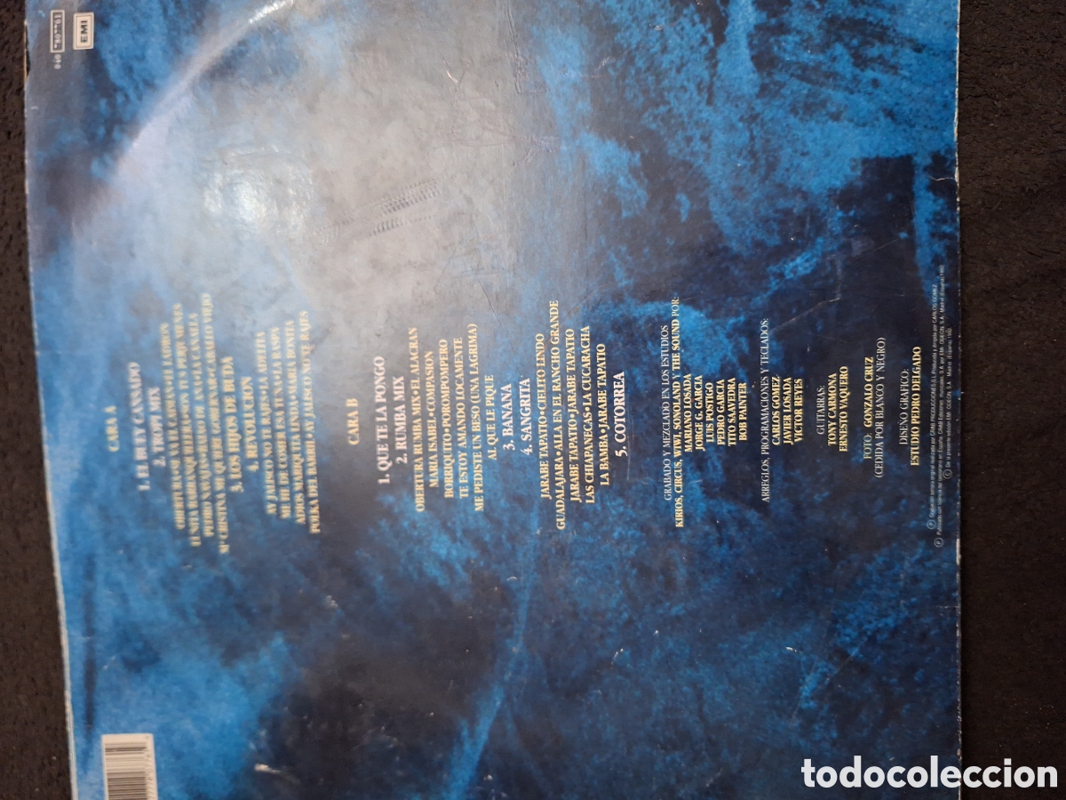 Discos de vinilo: Vinilo Garibaldi: Grandes &Eacute;xitos - Foto 2