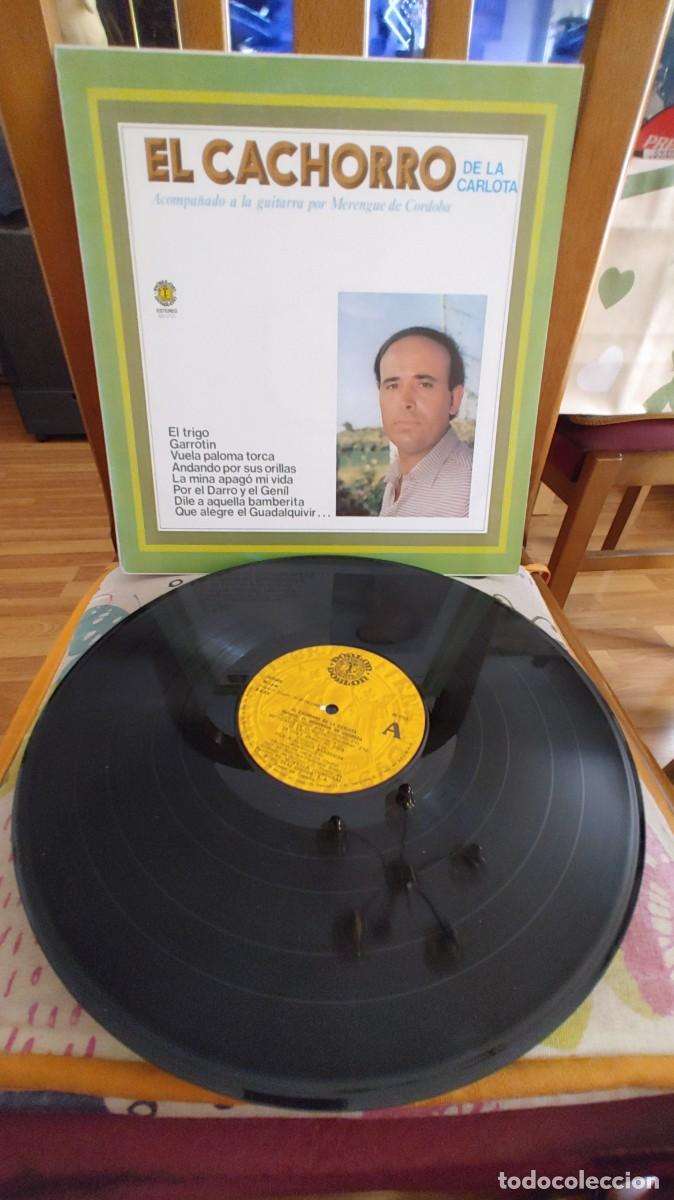 Discos de vinilo: EL CACHORRO DE LA CARLOTA-LP 1982-NUEVO - Foto 1
