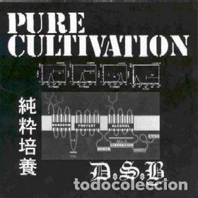 Discos de vinilo: D.S.B. &ndash; Pure Cultivation - 7&rdquo; - 2002 - Kangaroo Records - Foto 1