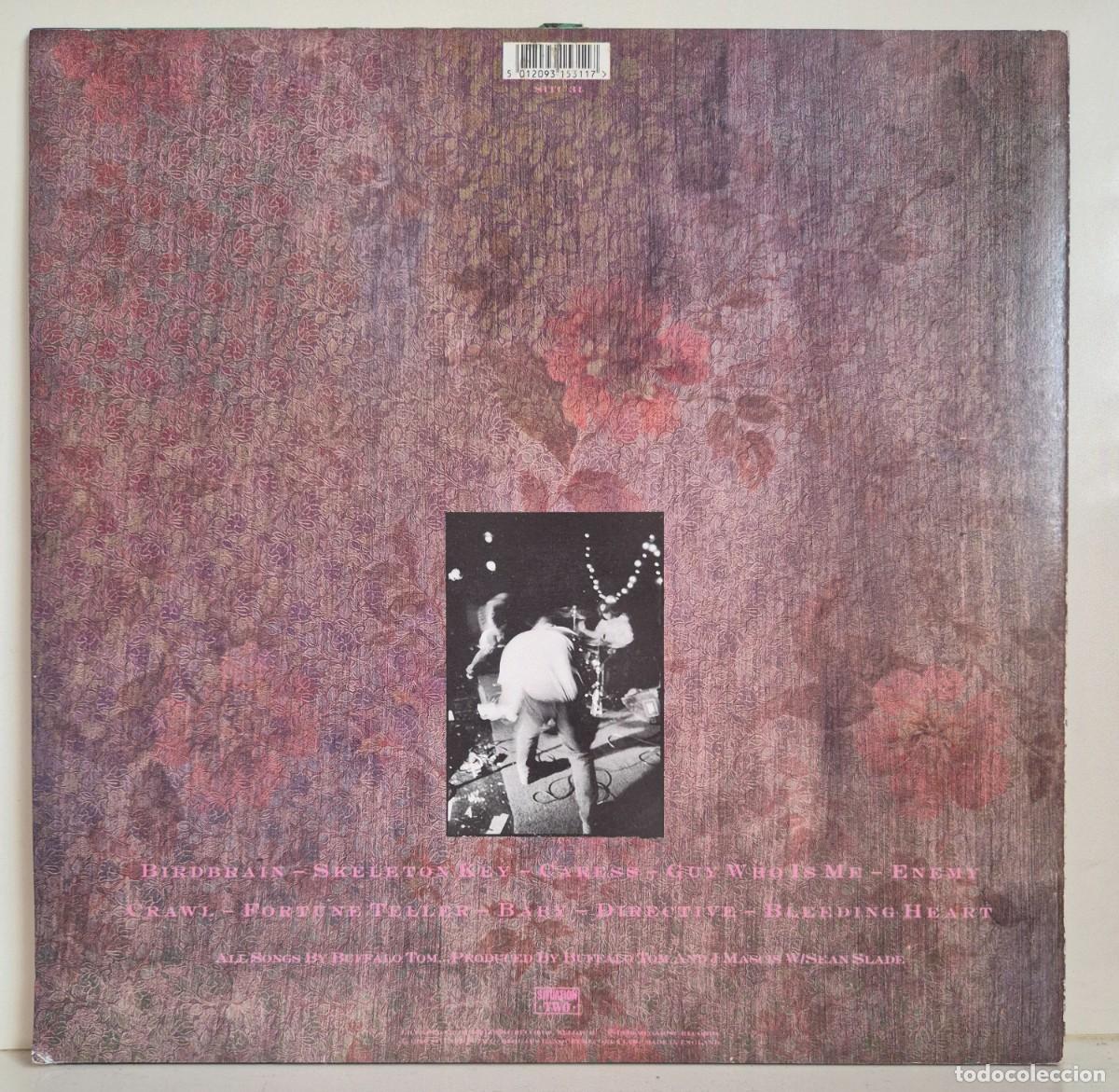 Discos de vinilo: Buffalo Tom - Birdbrain. LP vinilo - Foto 2