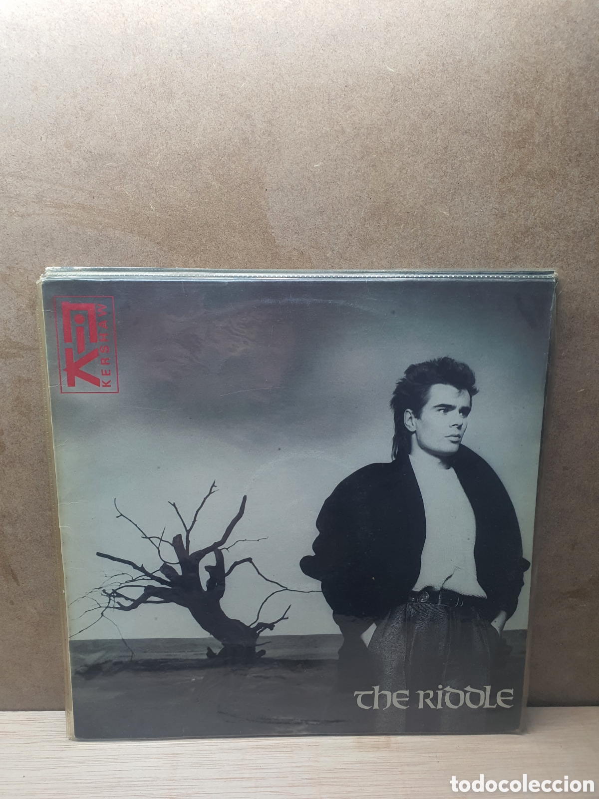 Discos de vinilo: Nik Kershaw &ndash; The Riddle Nik Kershaw - Foto 1