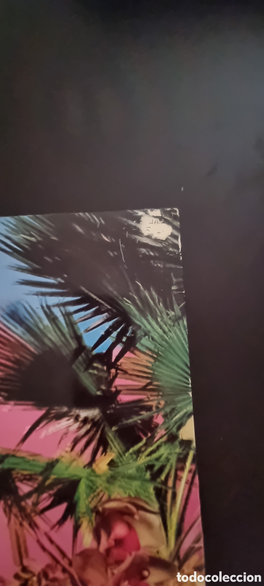 Discos de vinilo: GATO BARBIERI - TROPICO 1978 - Foto 6
