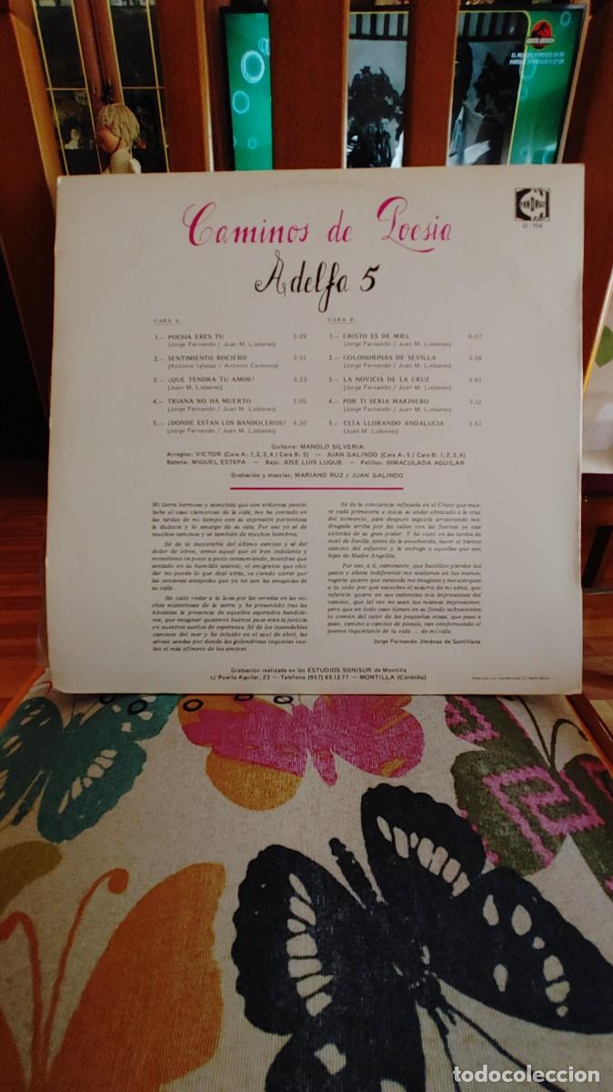 Discos de vinilo: ADELFA 5-LP CAMINOS DE POESIA - Foto 2