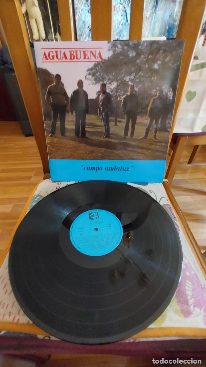 Discos de vinilo: AGUABUENA-LP CAMPO ANDALUZ - Foto 1