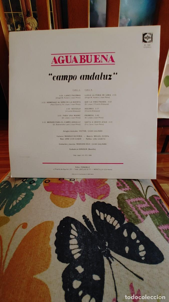 Discos de vinilo: AGUABUENA-LP CAMPO ANDALUZ - Foto 2