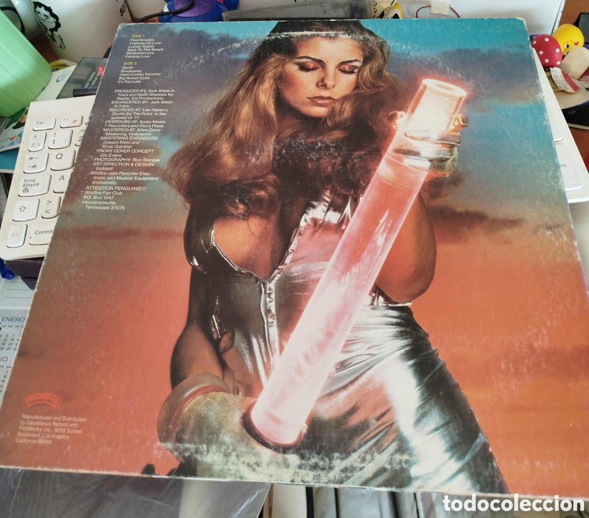 Discos de vinilo: Wildfire &nbsp;&ndash;&nbsp;Flame Thrower. Edici&oacute;n USA - Foto 1