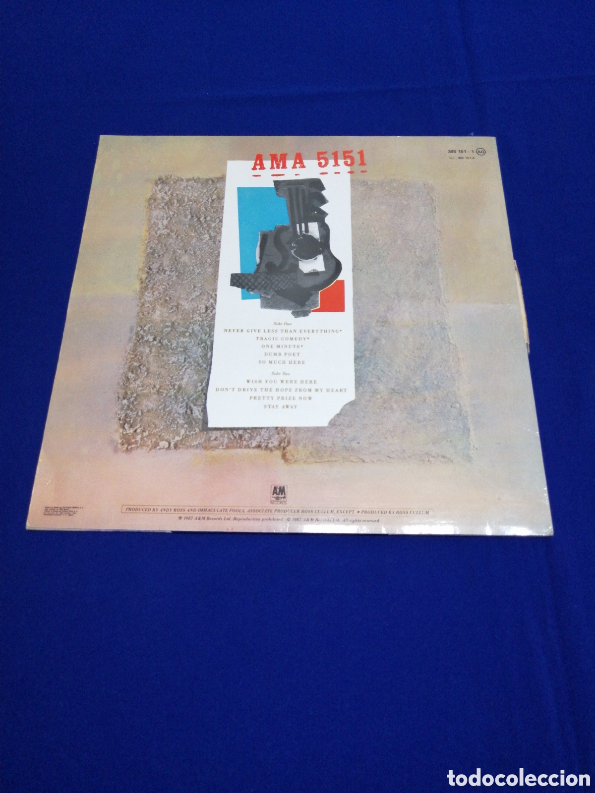Discos de vinilo: INMACULATE FOOLS - DUMB POET - AM RECORDS 1987 - Foto 2