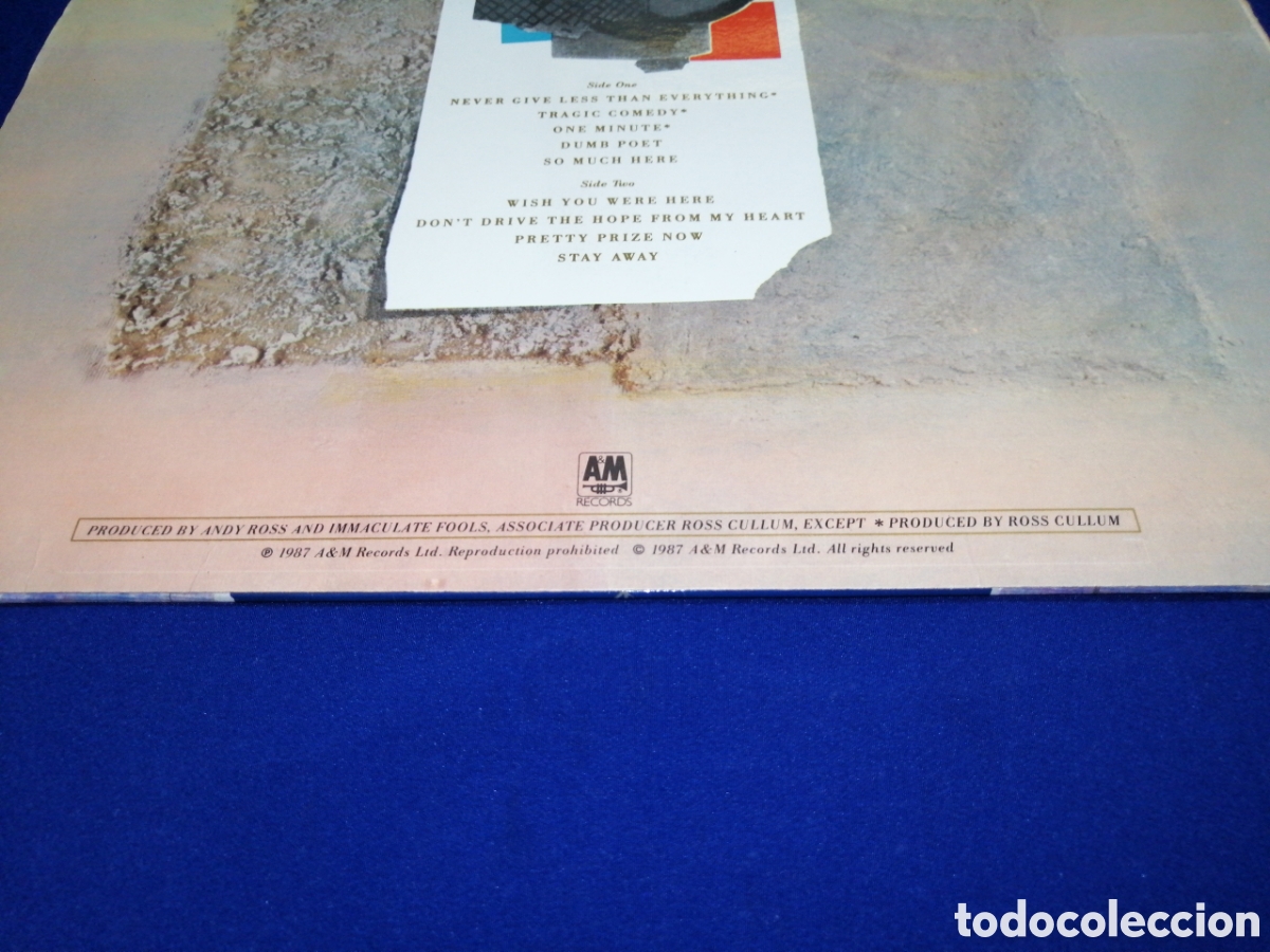 Discos de vinilo: INMACULATE FOOLS - DUMB POET - AM RECORDS 1987 - Foto 4