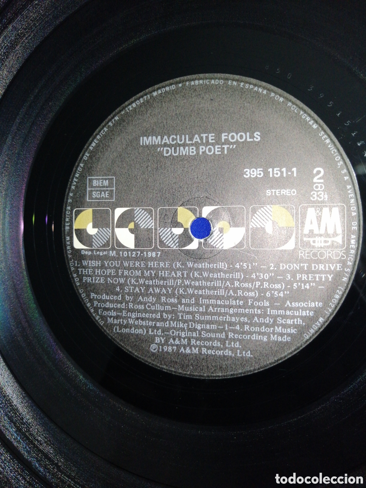 Discos de vinilo: INMACULATE FOOLS - DUMB POET - AM RECORDS 1987 - Foto 8