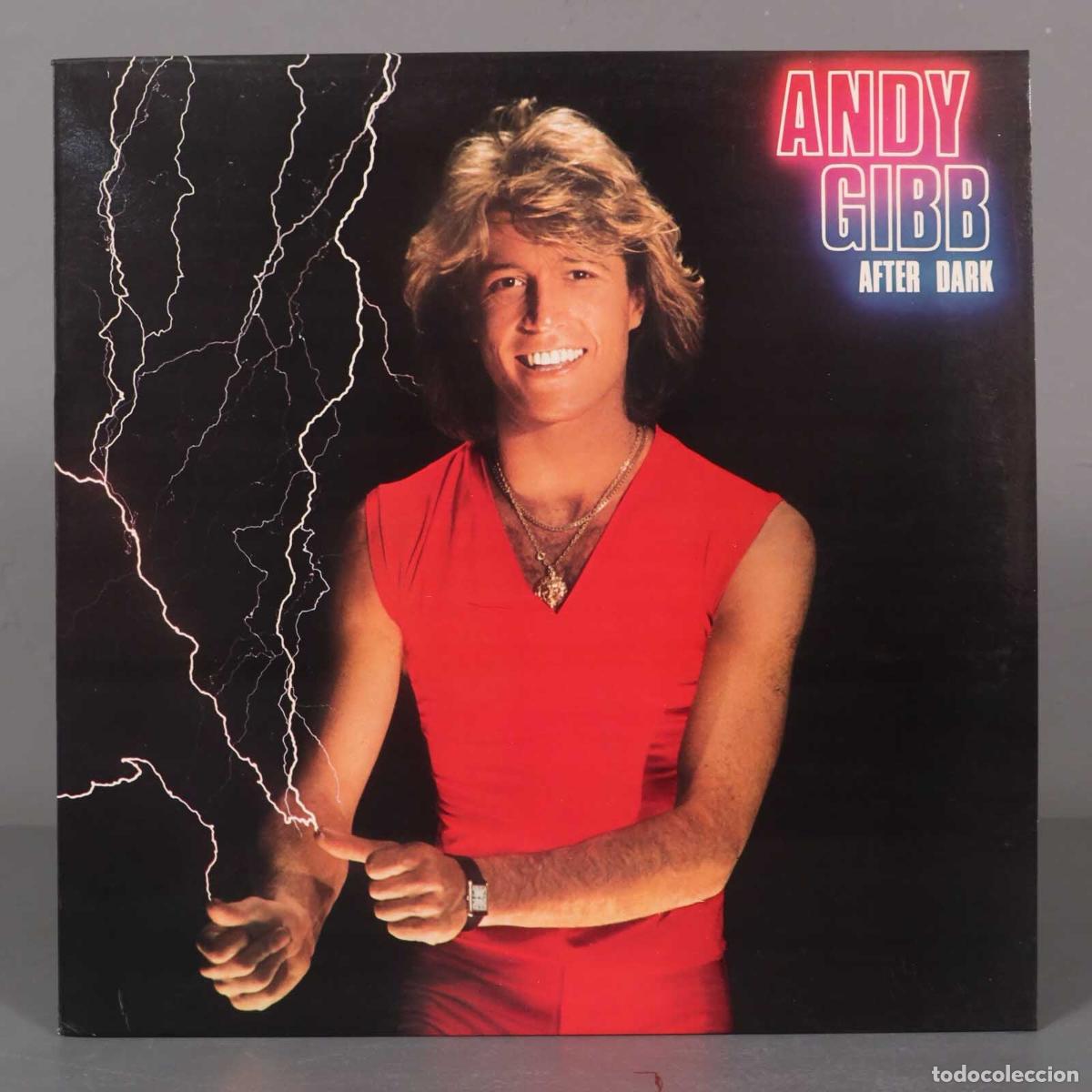 Discos de vinilo: LP. Andy Gibb &ndash; After Dark - Foto 1