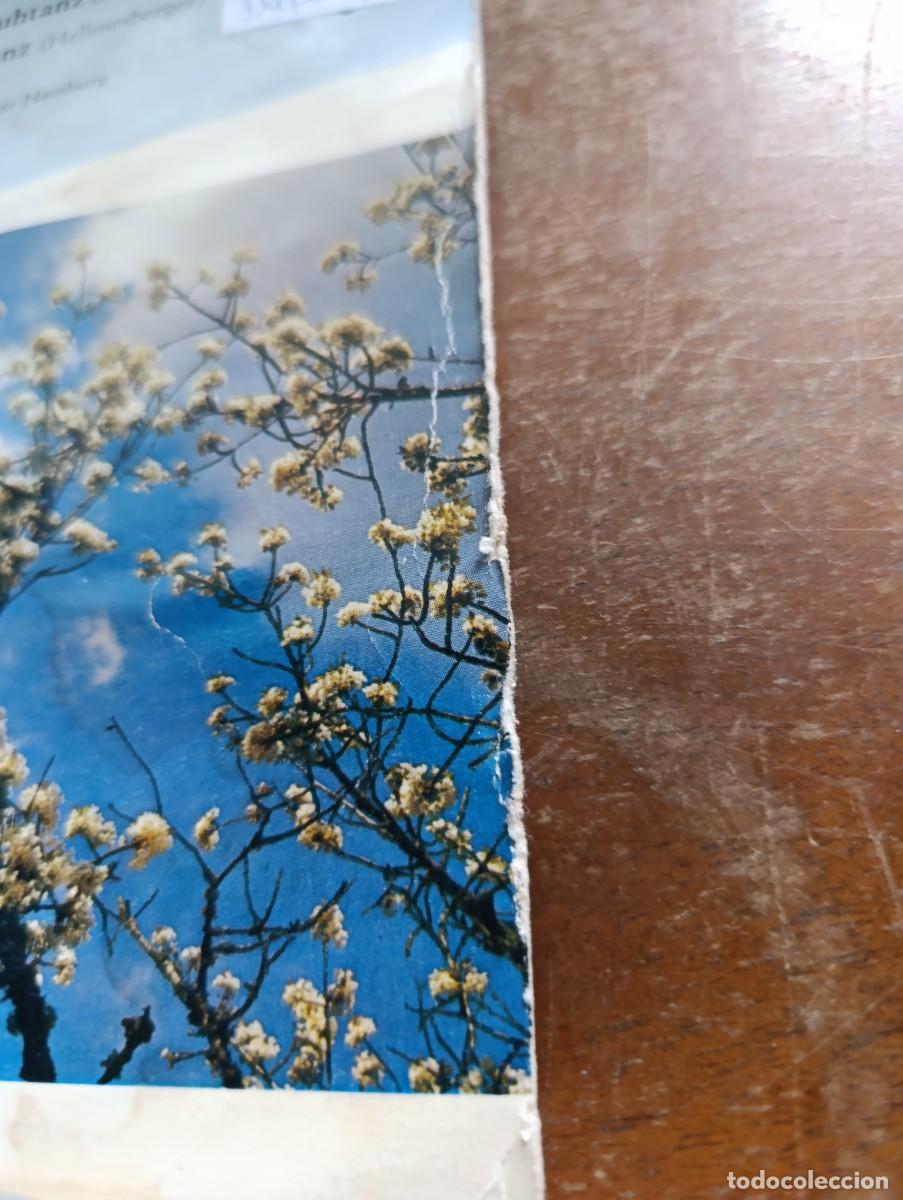 Discos de vinilo: Disco de vinilo single bekannt und beliebt - Foto 5