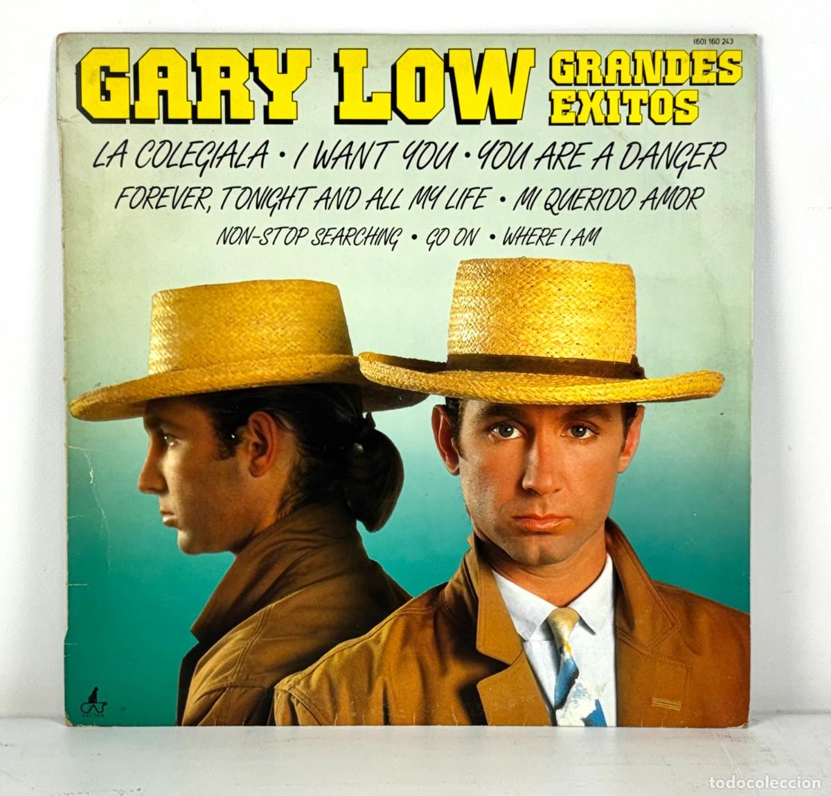 Discos de vinilo: LP, VINILO - GARY LOW - GRANDES &Eacute;XITOS - HISPAVOX, 1984 - Foto 1