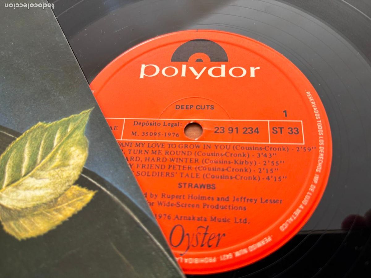 Discos de vinilo: STRAWBS (DEEP CUTS) LP 1976 ESPA&Ntilde;A (B-54) - Foto 3