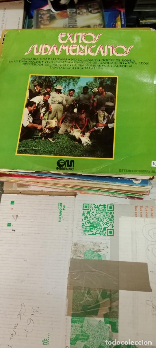 Discos de vinilo: M-DISC VINILO 12 PULGADAS EXITOS SUDAMERICANOS - Foto 1