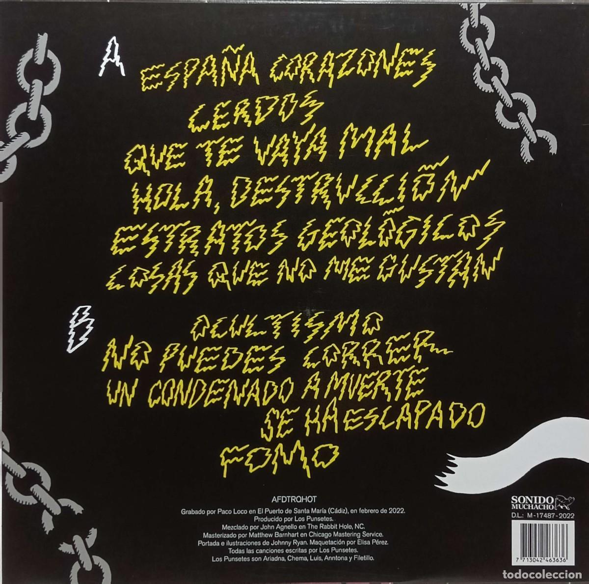 Discos de vinilo: Los Punsetes &lrm;&ndash; AFDTRQHOT - Foto 2