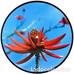 Discos de vinilo: Depeche Mode &lrm;&ndash; Precious - Foto 1
