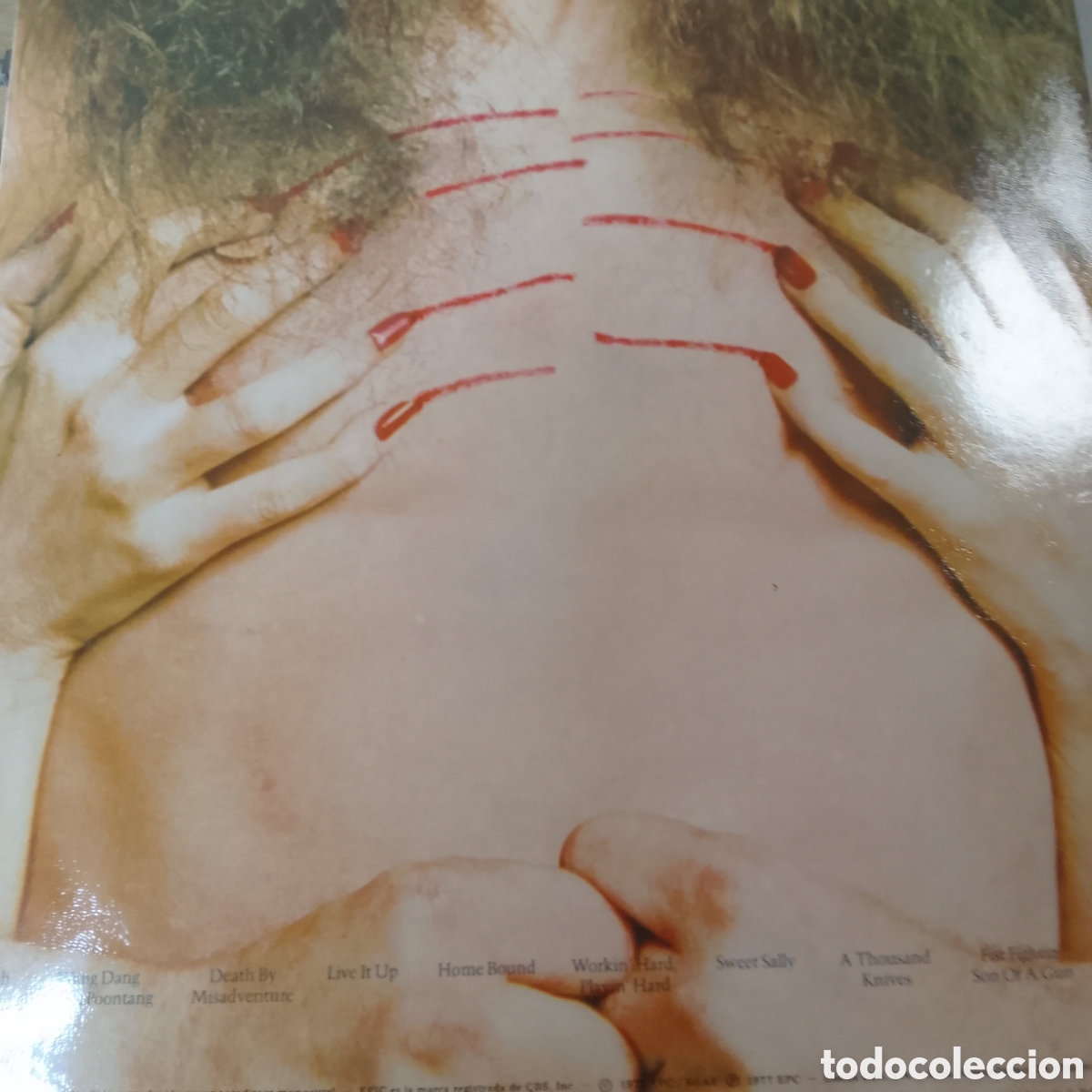 Discos de vinilo: TED NUGENT CAT SCRATCH FEVER - Foto 2