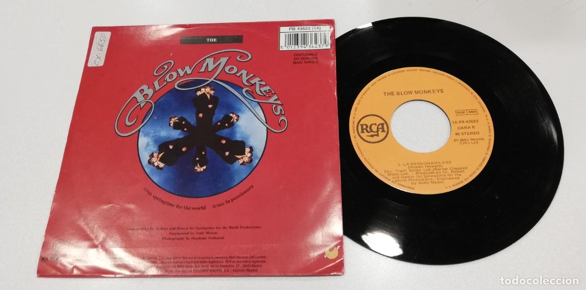 Discos de vinilo: SCO100-The Blow Monkeys - Springtime For The World (7&rdquo;, Single) - Foto 2