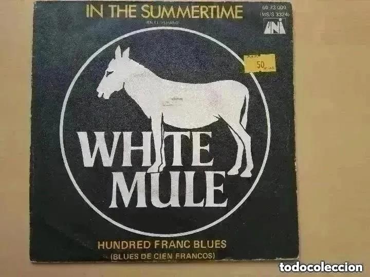 Discos de vinilo: WHITE MULE - IN THE SUMMERTIME (SG) 1970 - Foto 1