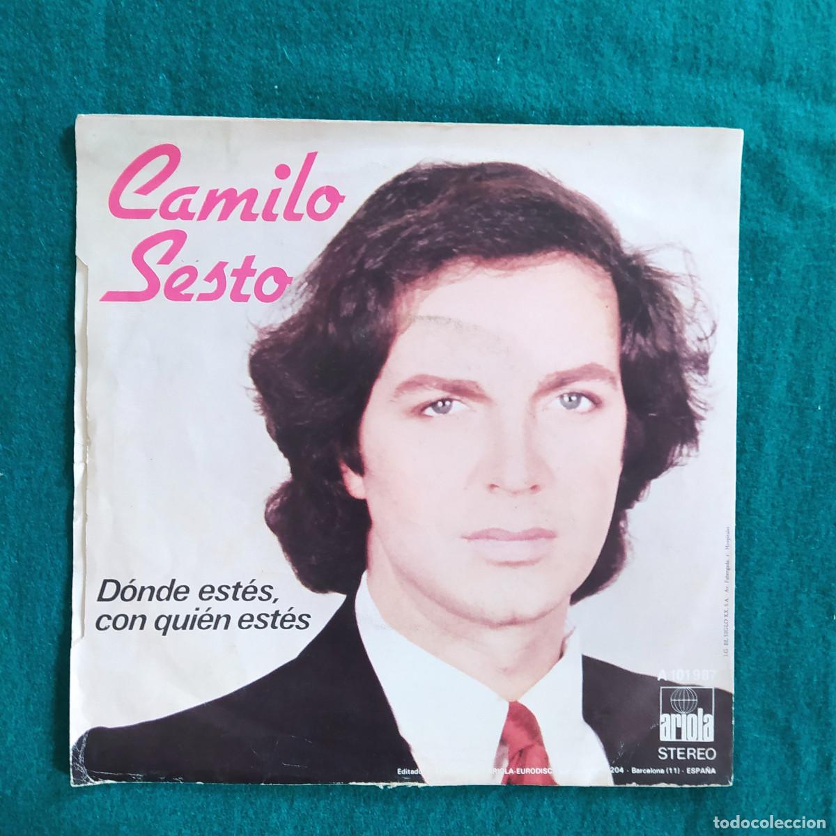 Discos de vinilo: Camilo Sesto &ndash; Perdoname - Foto 2