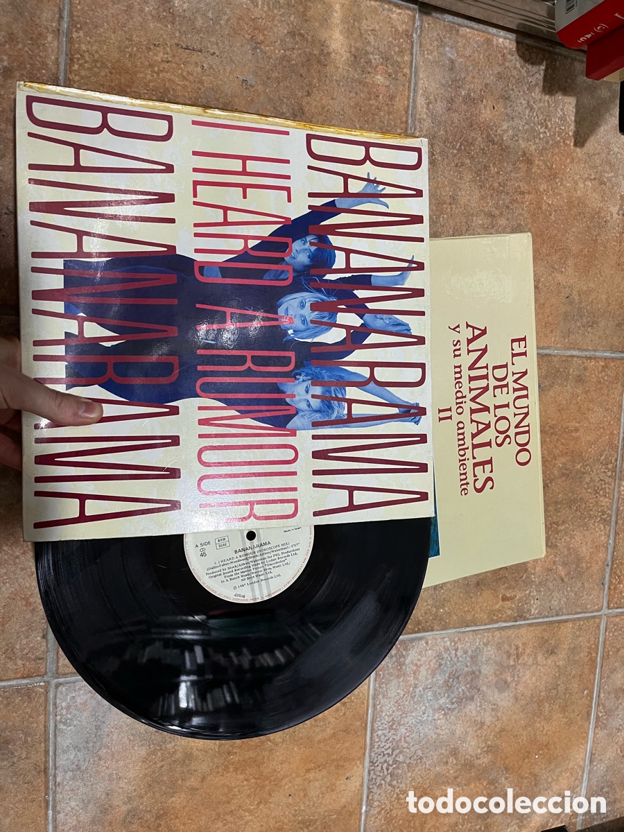 Discos de vinilo: Blas52D BANANARAMA. I HEARD A RUMOUR / - Foto 1