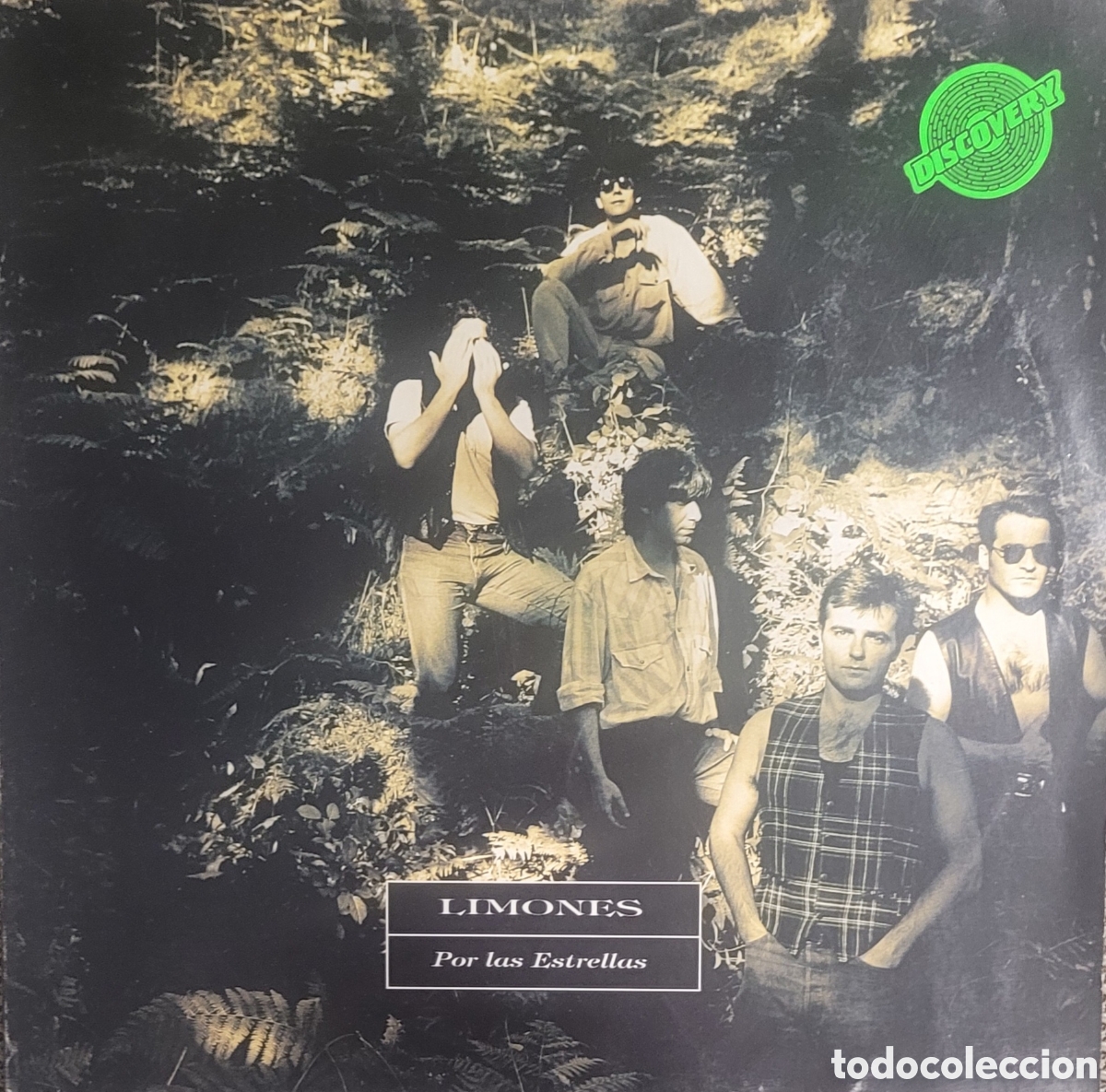 Discos de vinilo: LP LOS LIMONES POR LAS ESTRELLAS - Foto 1