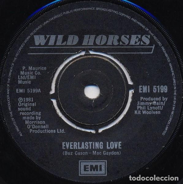 Discos de vinilo: Wild Horses &ndash; Everlasting Love - Foto 1