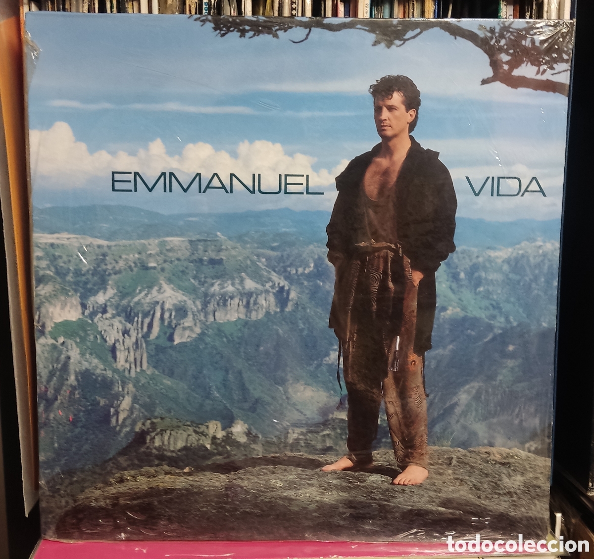Discos de vinilo: EMMANUEL - VIDA LP ESPA&Ntilde;A - Foto 1