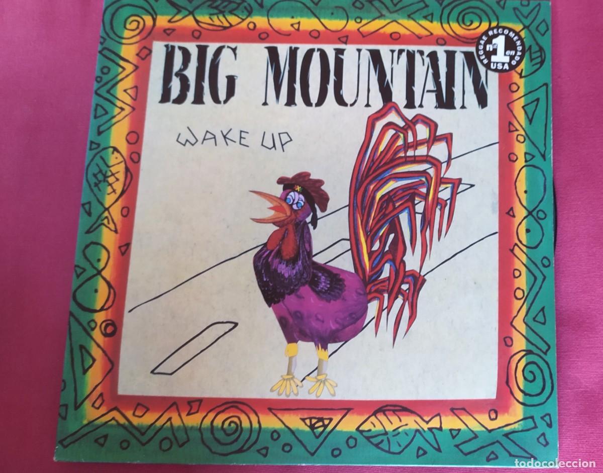 Discos de vinilo: LP Big mountain: wake up . A&ntilde;o 1992 - Foto 1