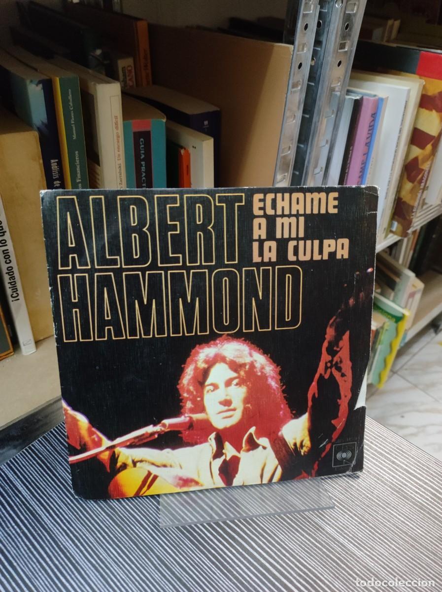 Discos de vinilo: Albert Hammond &ndash; Echame A Mi La Culpa - Foto 1