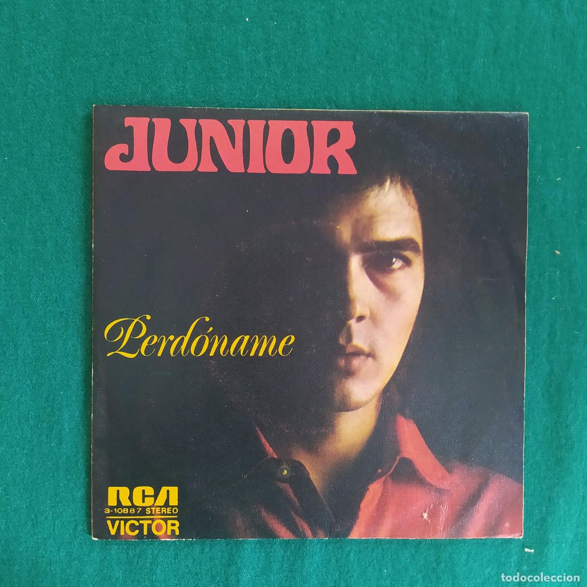Discos de vinilo: Junior &ndash; Perd&oacute;name . - Foto 1