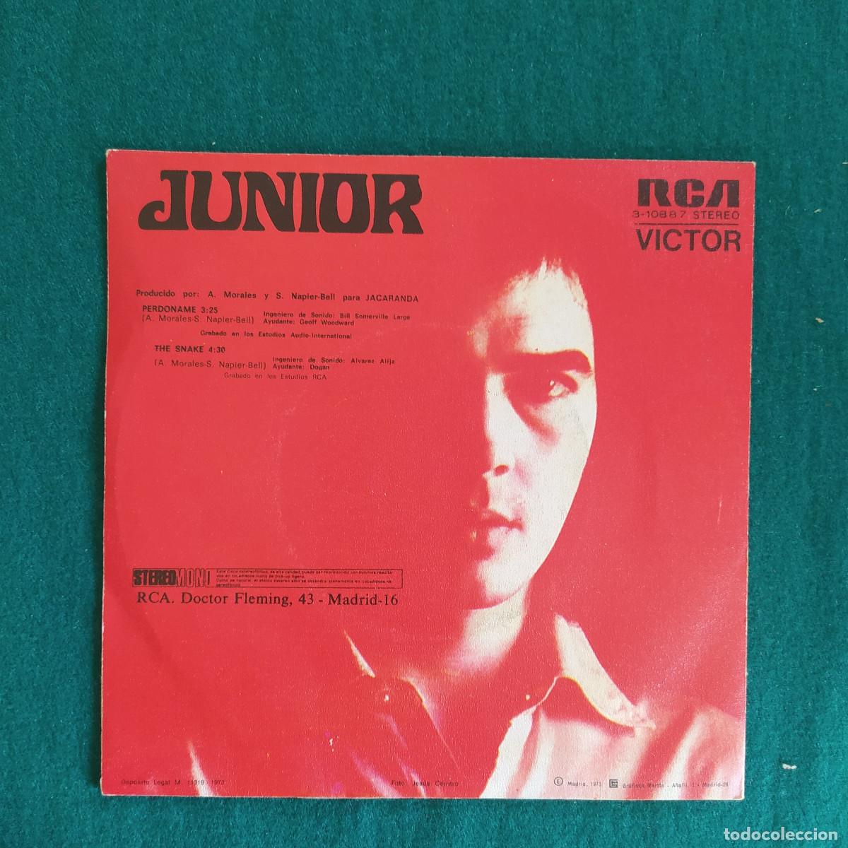 Discos de vinilo: Junior &ndash; Perd&oacute;name . - Foto 2
